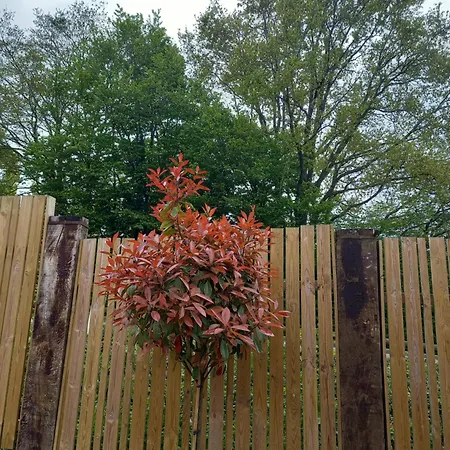 Aux Charmes Flamands