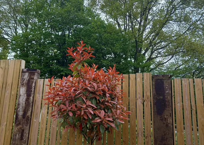 Aux Charmes Flamands